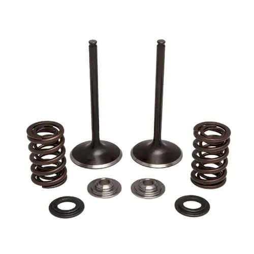 Kibblewhite  Intake Valve Spring Kit
