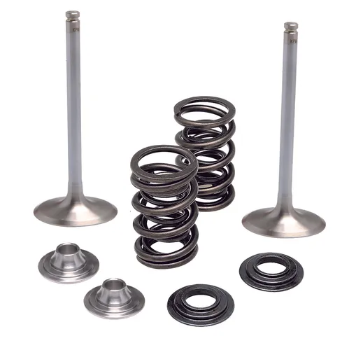 Kibblewhite  Intake Valve Spring Kit