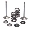 Kibblewhite  Intake Valve Spring Kit