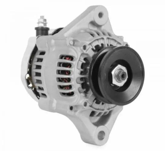 Wild Boar Generator Alternator