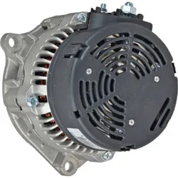 Wild Boar Generator Alternator