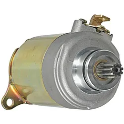 Wild Boar Replacement Starter Motor
