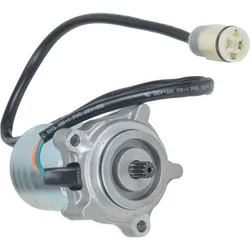 Wild Boar Shift Control Motor