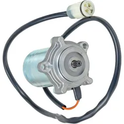 Wild Boar Shift Control Motor