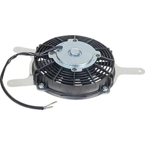 Wild Boar Radiator Cooling Fan Motor