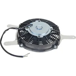 Wild Boar Radiator Cooling Fan Motor