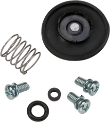 Moose Acceleration Accelerator Pump Rebuild Repair Kit