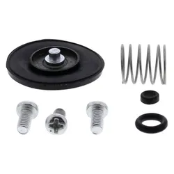 All Balls Accelerator Pump Rebuild Repair Kit