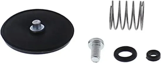 All Balls Accelerator Pump Rebuild Repair Kit