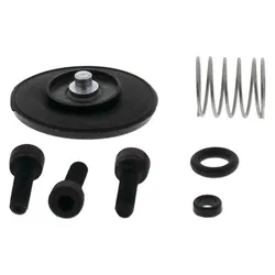 All Balls Accelerator Pump Rebuild Repair Kit