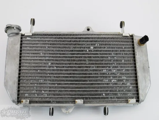 Engine Radiator Cooling 2009 Yamaha YFZ450R 596