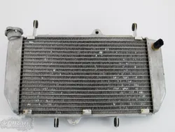 Engine Radiator Cooling 2009 Yamaha YFZ450R 596