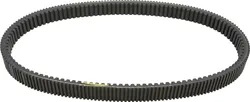 SP1 Max Torque Belt