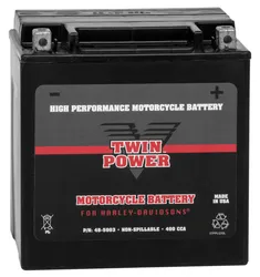 Twin Power High Performance Factory Activated AGM Battery YIX30L