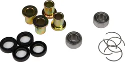 AB Front Upper or Lower A Arm Bearing  Kit for Honda FourTrax 250
