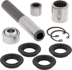 Moose Front Upper A-Arm Bearing  Repair Kit