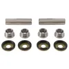 All Balls Rear Independent Suspension Knuckle Bushing Kit