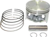 WSM Overbore Piston Kit .5mm Over 79mm for Honda Rancher 350