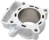 Cylinder Works Standard Bore Cylinder Jug
