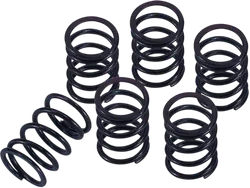 HONDA CLUTCH SPRINGS