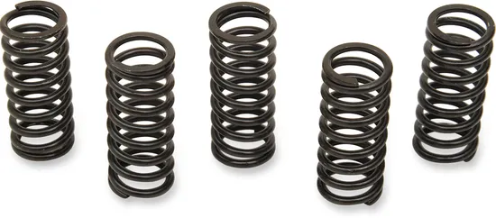 CLUTCH SPRING KIT YAM