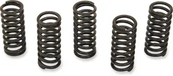 CLUTCH SPRING KIT YAM