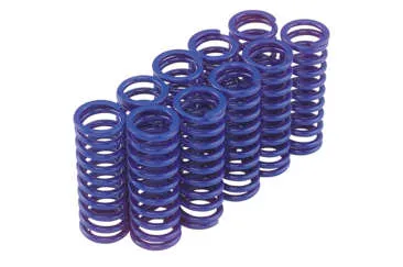 CLUTCH SPRINGS 64-E84B.T.
