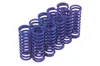 CLUTCH SPRINGS 64-E84B.T.