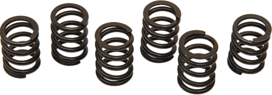 SUZ CLUTCH SPRING KITS