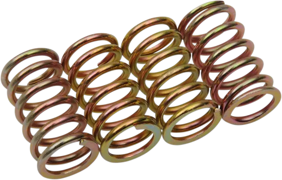 CLUTCH SPRING KIT H/K/S