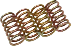 CLUTCH SPRING KIT H/K/S