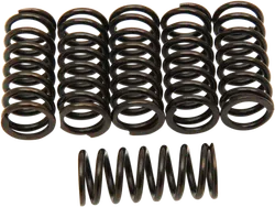 YAM CLUTCH SPRING KITS