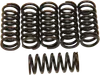 YAM CLUTCH SPRING KITS