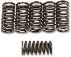 SUZ CLUTCH SPRING KITS