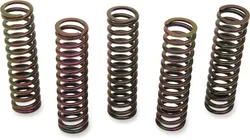 KAW CLU SPRING KITS