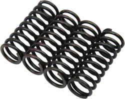 HONDA CLUTCH SPRINGS