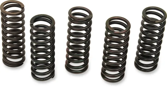 HONDA CLUTCH SPRINGS