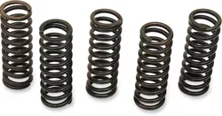 HONDA CLUTCH SPRINGS