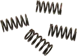 CLUTCH SPRING SET HON