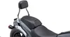 Cobra Chrome Detachable Backrest Kit