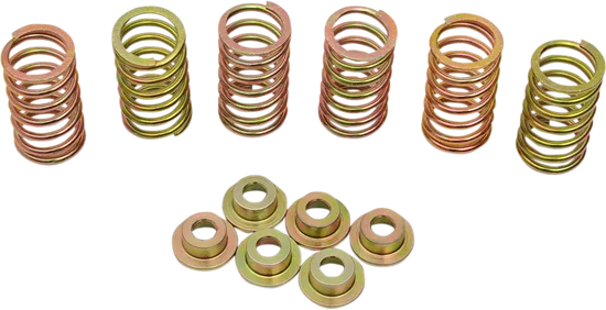 CLUTCH SPRING KIT