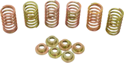 CLUTCH SPRING KIT