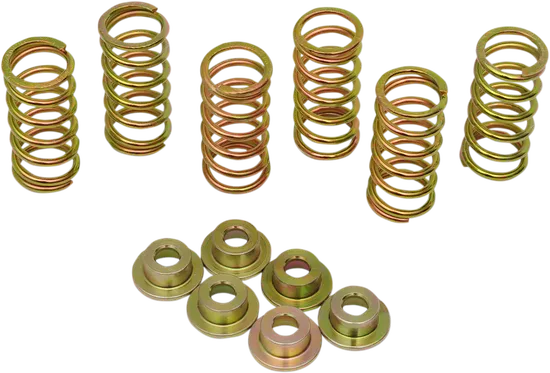 CLUTCH SPRING KIT