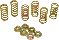 CLUTCH SPRING KIT