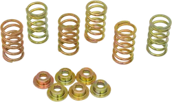 CLUTCH SPRING KIT HD