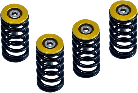 DUC DRY CLU SPRG KT GLD