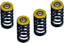 DUC DRY CLU SPRG KT GLD