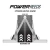 Boyesen Fiberglass Power Reed Petals