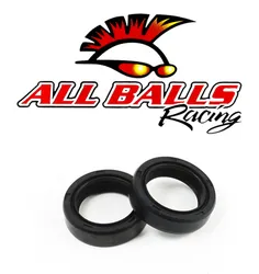 All Balls Fork Dust Seal Only Kit