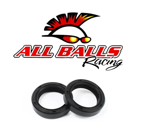 All Balls Fork Dust Seal Only Kit